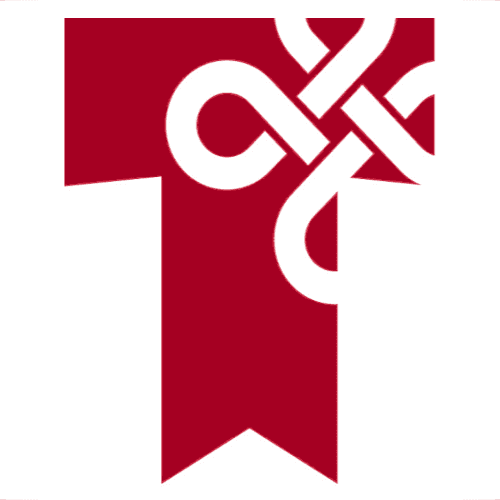 Tiarna logo as placeholder photo